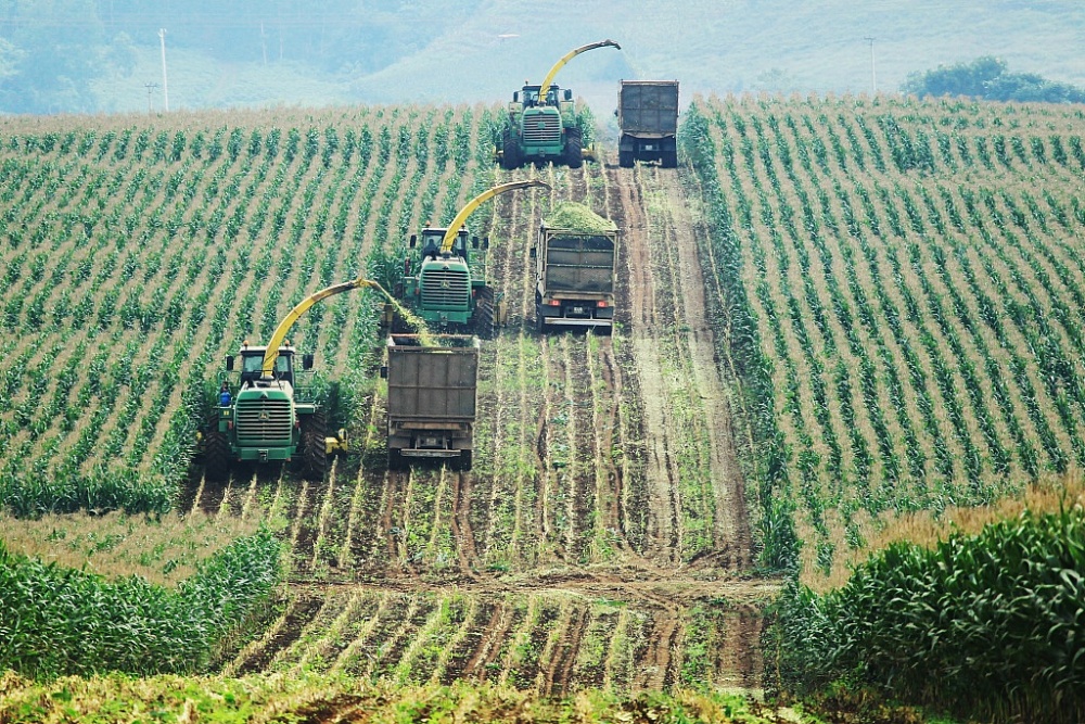 Anh hùng lao động Thái Hương -“Bông hoa” điển hình tiên tiến trên quê Bác