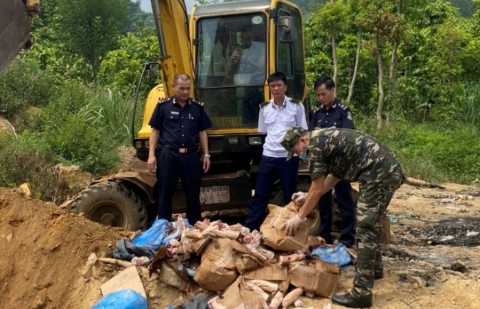 Hải quan Lào Cai tiêu hủy 300 kg chân lợn đông lạnh không rõ nguồn gốc