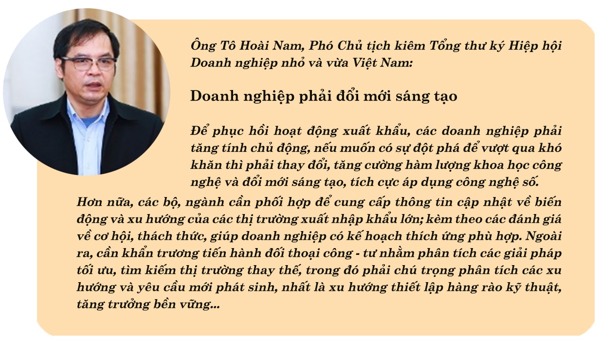 Megastory: Tìm “bệ đỡ” mở rộng thị trường xuất khẩu