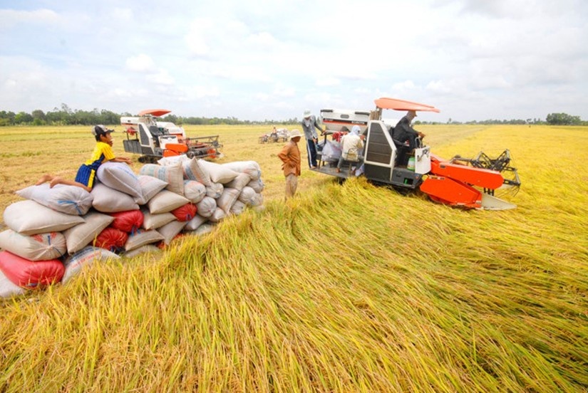 Bộ Công Thương lưu ý VFA và thương nhân về trách nhiệm trong xuất khẩu gạo