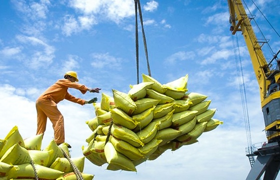 Thủ tướng chỉ thị đảm bảo an ninh lương thực, thúc đẩy sản xuất, xuất khẩu gạo bền vững