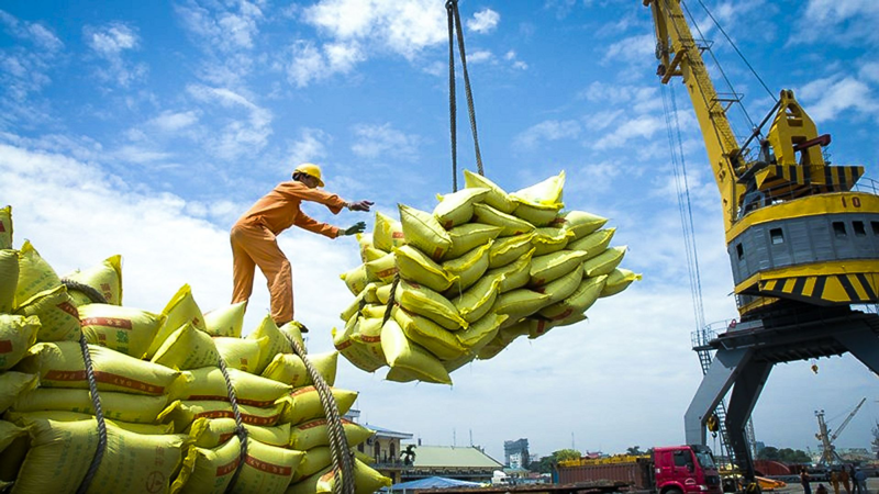 Thủ tướng chỉ thị đảm bảo an ninh lương thực, thúc đẩy sản xuất, xuất khẩu gạo bền vững