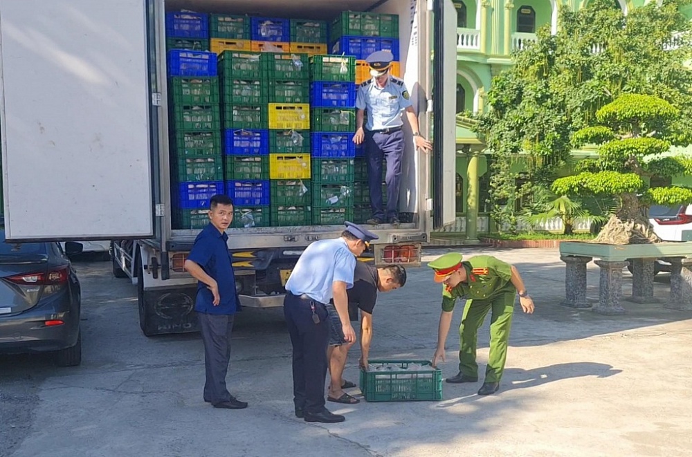 Lực lượng chức năng tỉnh Nghệ An kiểm tra tang vật. Ảnh: QLTT NA