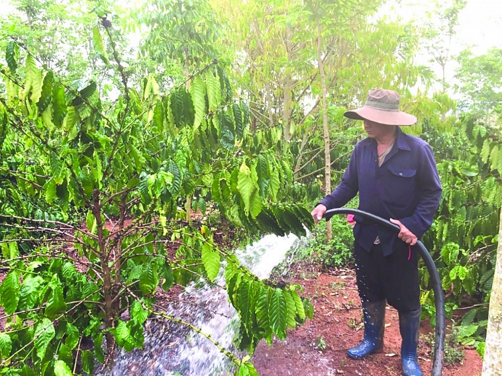 Doanh nghiệp tìm công nghệ để “nâng chất