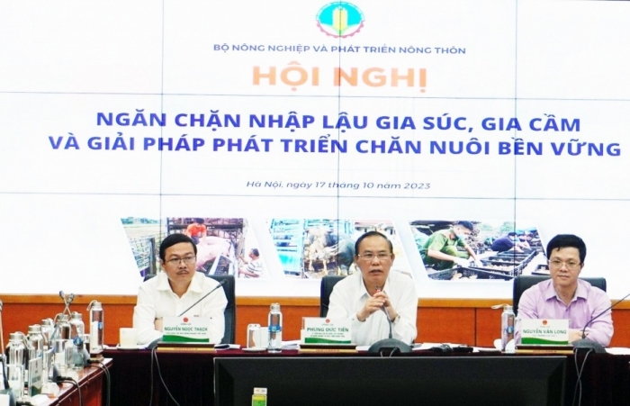 Hàng chục nghìn tấn gà thải loại được nhập lậu qua biên giới vào Việt Nam mỗi tháng