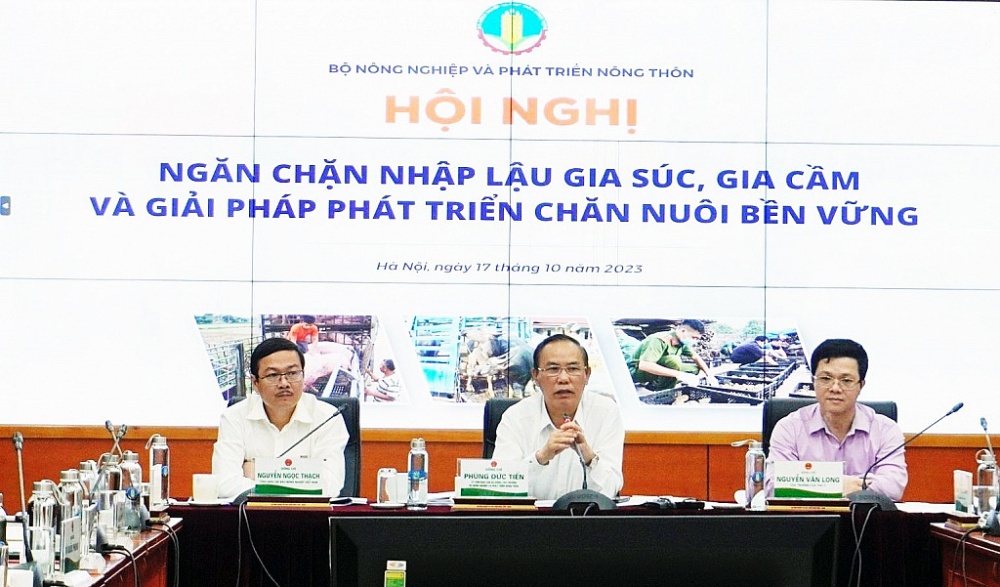 Hàng chục nghìn tấn gà thải loại được nhập lậu qua biên giới vào Việt Nam mỗi tháng