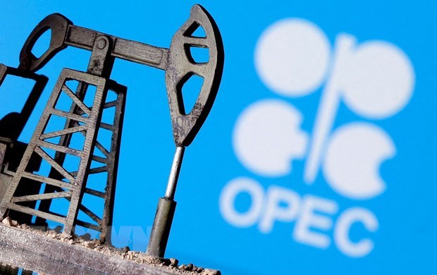 OPEC khong co ke hoach ap lenh cam giao dich dau mo voi Israel hinh anh 1