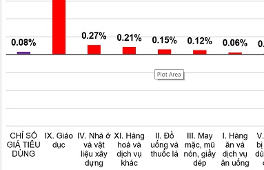 Nguyên nhân nào khiến CPI 10 tháng tăng 3,2%?