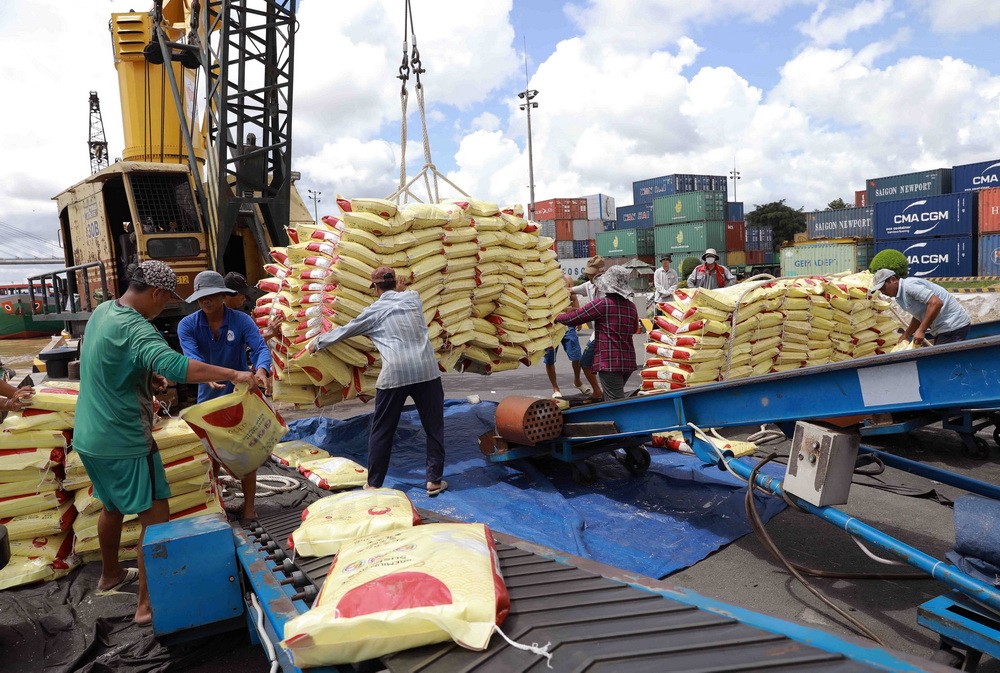 Vận chuyển gạo xuất khẩu xuống container. (Ảnh: Vũ Sinh/TTXVN)