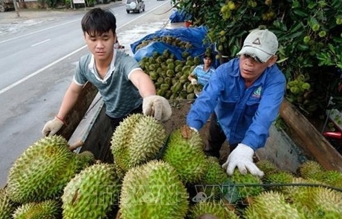 Khai mở  thị trường xuất khẩu