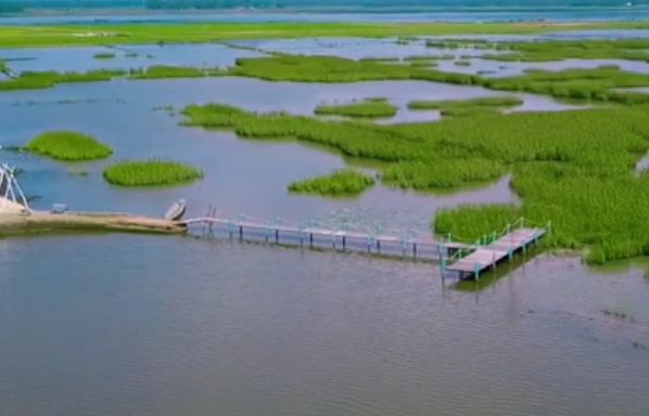 Bảo tồn và sử dụng khôn khéo các vùng đất ngập nước