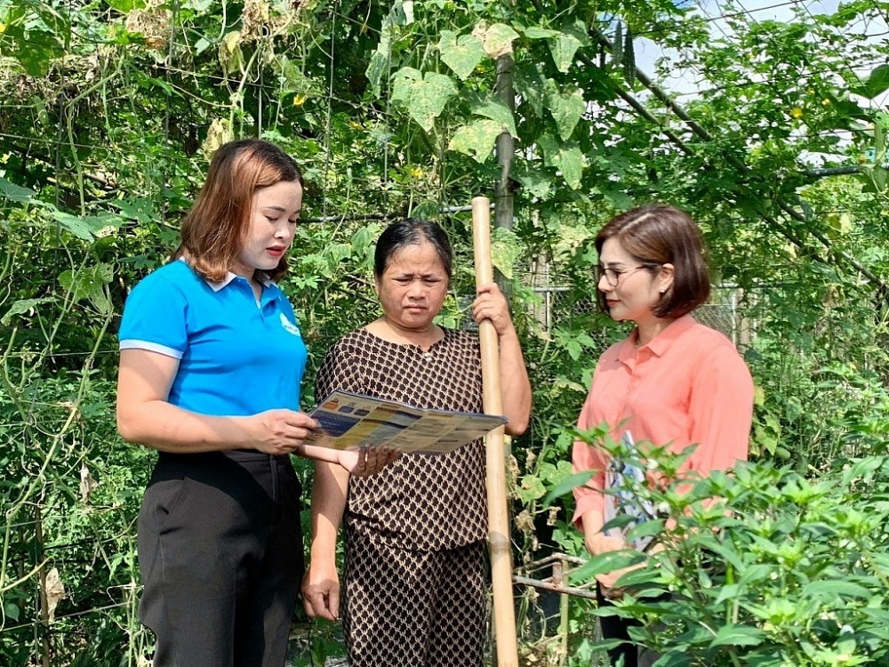 Tham gia CLB Vườn rau an sinh, các hội viên phụ nữ tại xã Tượng Sơn (tỉnh Hà Tĩnh) ngày càng hiểu rõ, tin tưởng và tích cực tham gia BHXH tự nguyện.