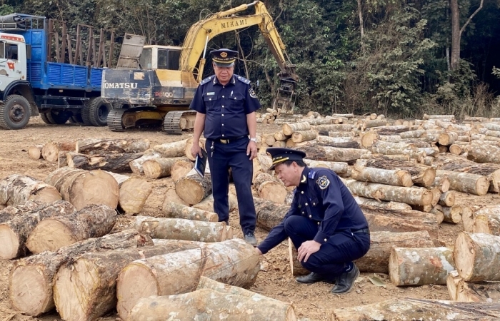 Không áp dụng quy định trích khấu hao tài sản cố định hàng miễn thuế NK nếu là hộ kinh doanh cá nhân