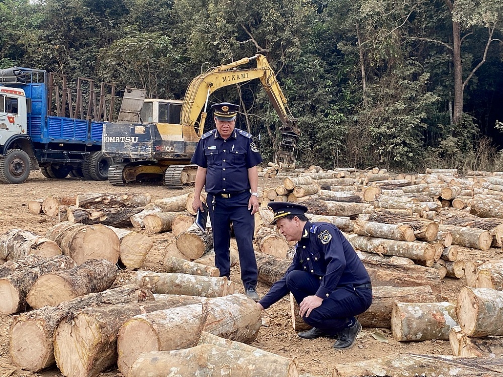 Công chức Chi cục Hải quan Xa Mát, Cục Hải quan Tây Ninh giám sát mặt hàng gỗ cao su nhập khẩu.	 Ảnh: T.D