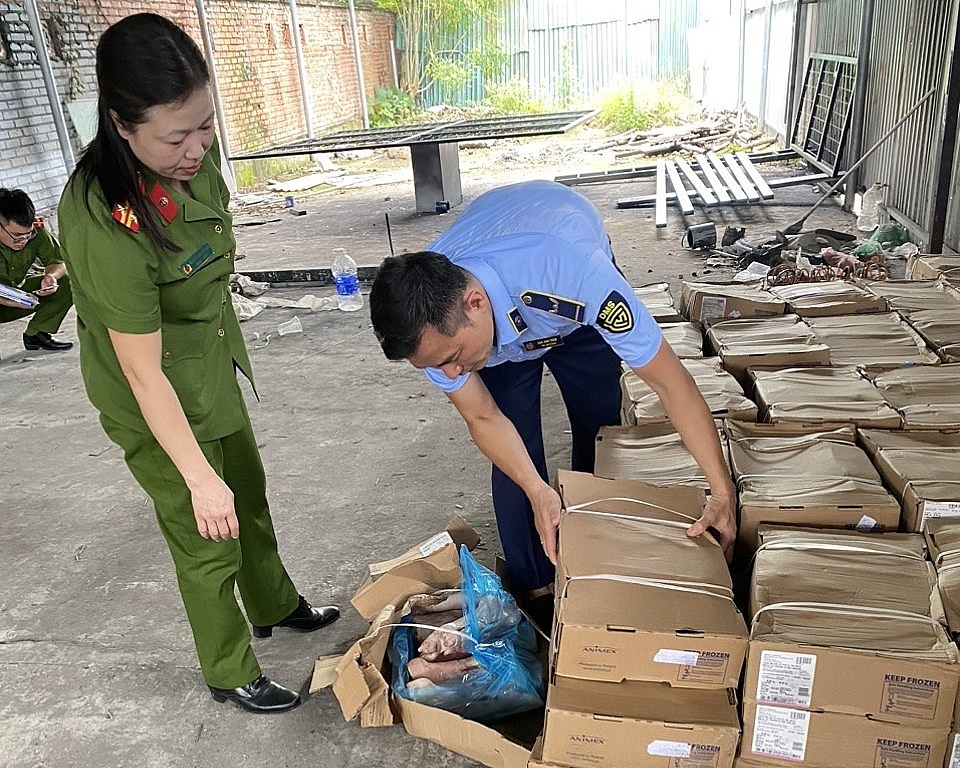 Hà Nội: Tạm giữ 105 thùng chân giò lợn có dấu hiệu nhập lậu