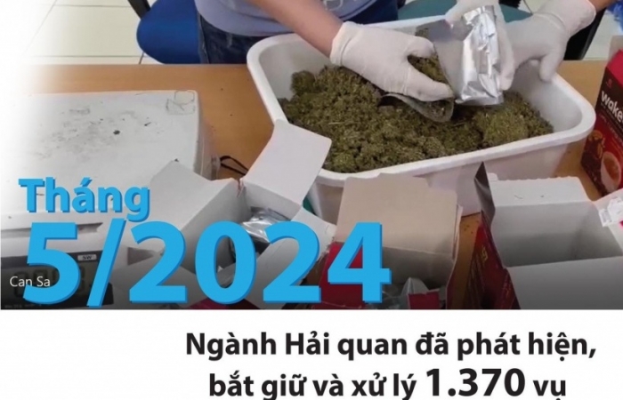 (Infographics) Kết quả chống buôn lậu và ma túy của Hải quan tháng 5/2024