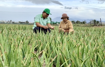 Thu hút đầu tư vào nông nghiệp xanh