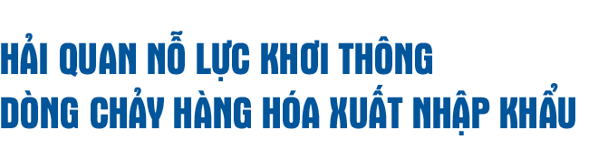 MEGASTORY: Ấn tượng kỷ lục hơn 545 tỷ USD xuất nhập khẩu trong "Năm Covid-19"