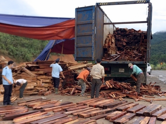 Vạch trần thủ đoạn gia cố vách ngăn, hầm hàng trên container để buôn lậu gỗ