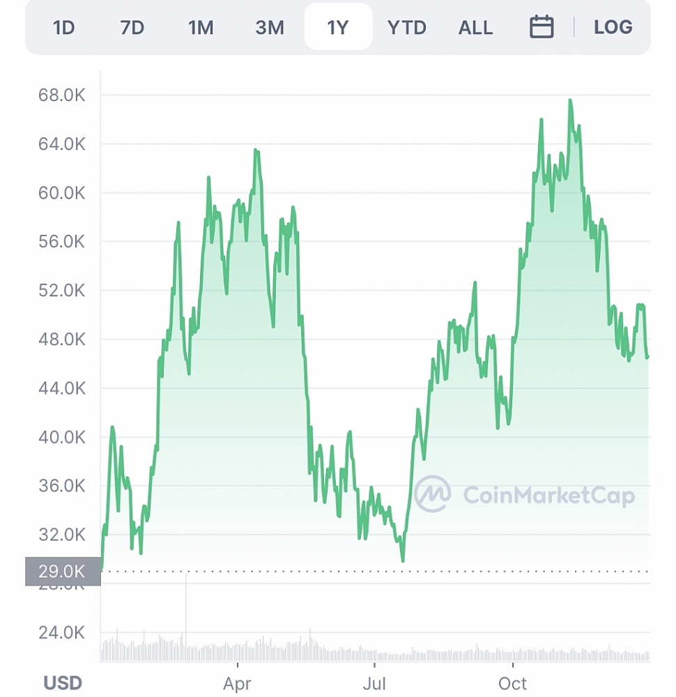 Biến động của giá Bitcoin từ đầu năm đến nay.  	Nguồn: CoinMarketCap