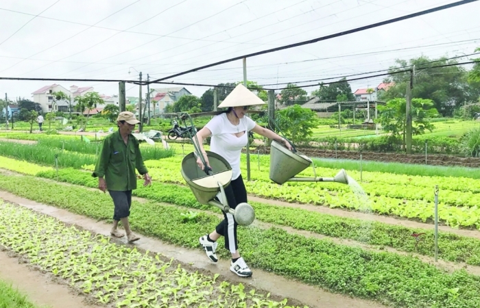 Cách nào cân bằng giữa lợi nhuận và mục tiêu chuyển đổi xanh?