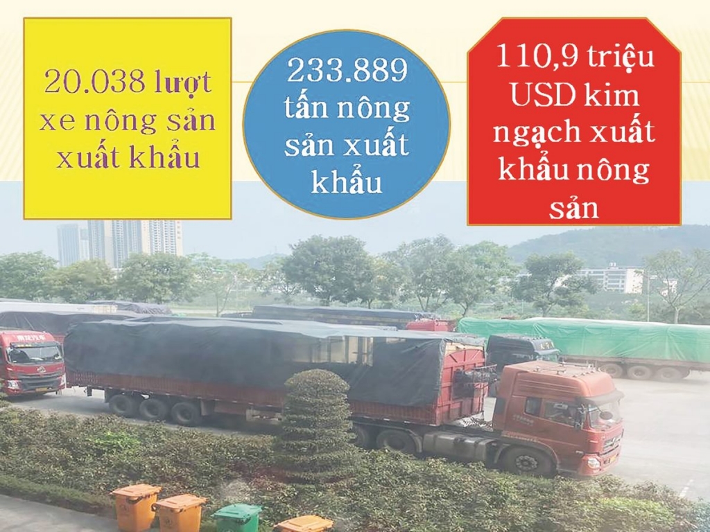 lao cai giai phap moi de khoi thong hoat dong xuat nhap khau