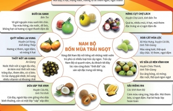 [Infographics] Những loại trái cây đặc sản của Nam Bộ