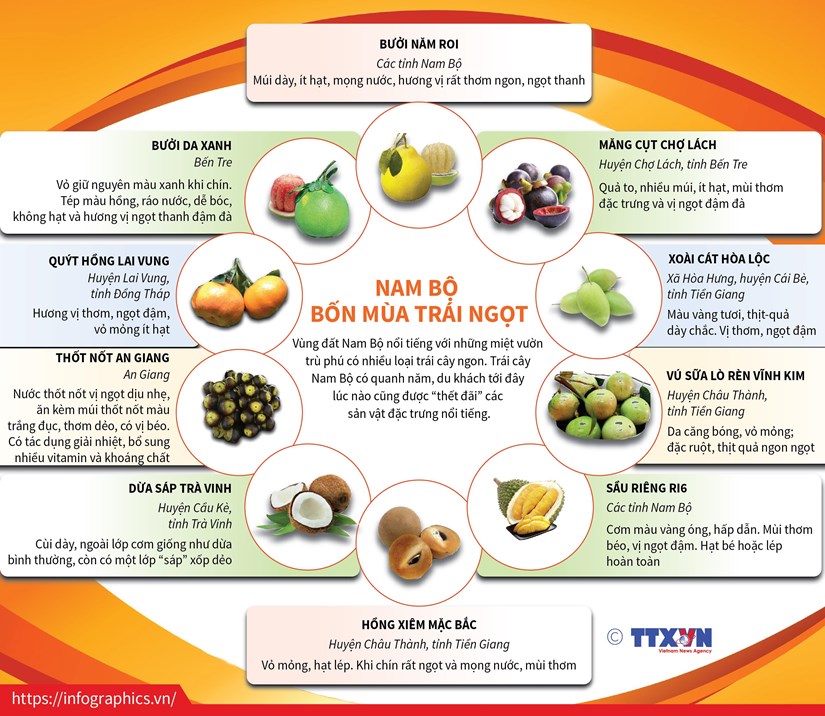 infographics nhung loai trai cay dac san cua nam bo