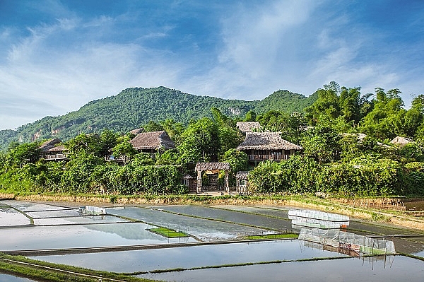 cac ecolodge vua dep vua than thien voi moi truong den tu viet nam