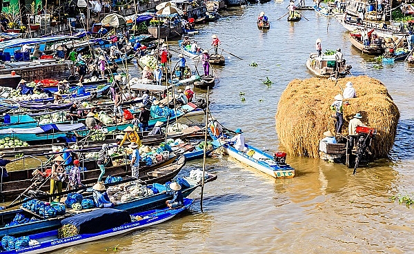 cac ecolodge vua dep vua than thien voi moi truong den tu viet nam