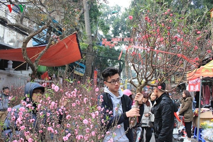 ha noi cam duong phuc vu cho hoa xuan khu pho co hoan kiem