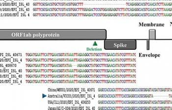 Nhà khoa học Việt tìm thấy 93 đột biến gene của nCoV