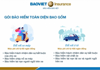 Vì sao phải mua bảo hiểm trách nhiệm xe cơ giới bắt buộc?