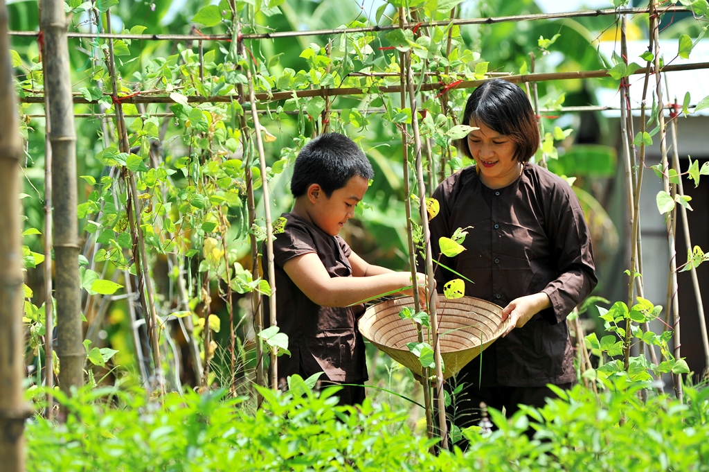 ve thuy thanh lam nong dan thuong thuc san vat dong que