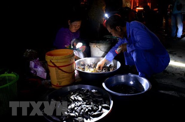 trai nghiem mot ngay mua nuoc noi cung ngu dan dong thap