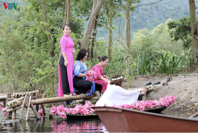 dep nao long hoa sung chua huong giua mua dong