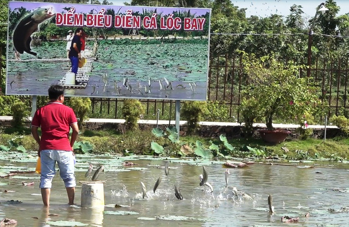 man nhan voi man bieu dien ca loc bay ben vuon hoa hong