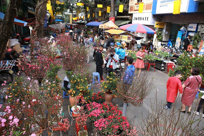 51 diem cho hoa xuan phuc vu tet canh ty tai ha noi