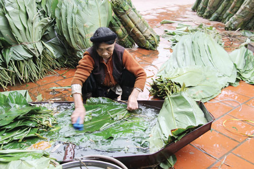 banh chung lang tranh