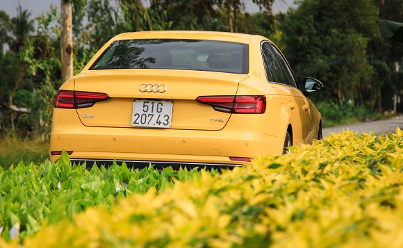 audi a4 ruc ro trong sac xuan