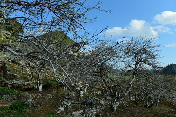 moc chau mua co tich