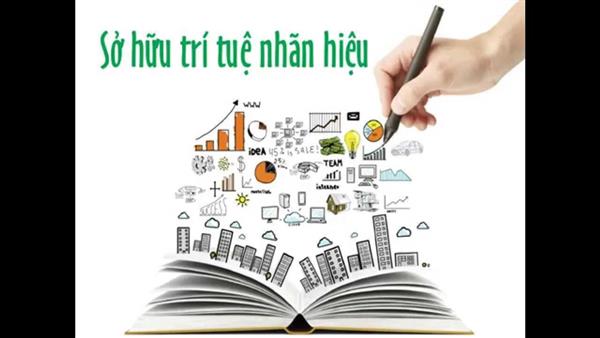 tiep nhan 102337 don trong linh vuc so huu tri tue