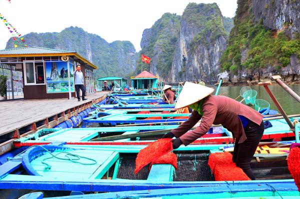 hap dan dich vu cheo thuyen nan tren vinh ha long