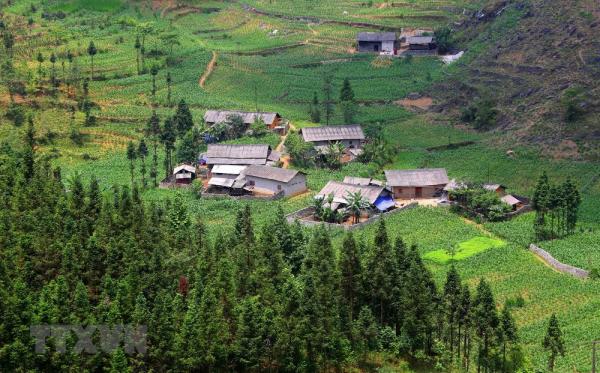 toan canh ve dep hung vi cua ha giang nhung ngay vao ha