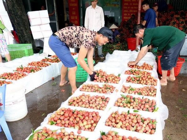 qua vai bac giang duoc tieu thu manh tai thi truong trung quoc