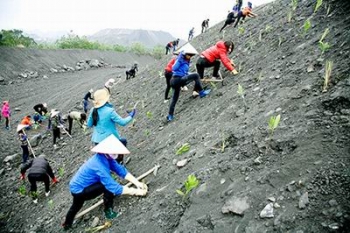 Phí thẩm định phương án cải tạo môi trường tối đa 61 triệu đồng