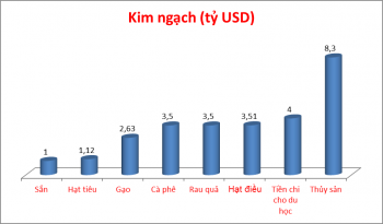 Tiền chi du học 1 năm bằng xuất khẩu gần 9 triệu tấn gạo