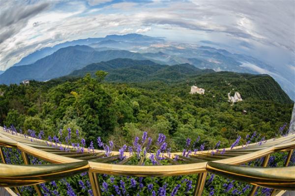 den da nang quotsong aoquot voi cay cau nam tren ban tay