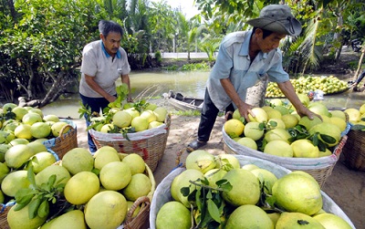 tiep tuc thao go kho khan cho xuat khau nong lam thuy san