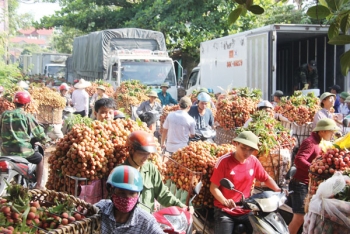 Thúc đẩy xuất ngoại, trái cây cần vượt rào cản